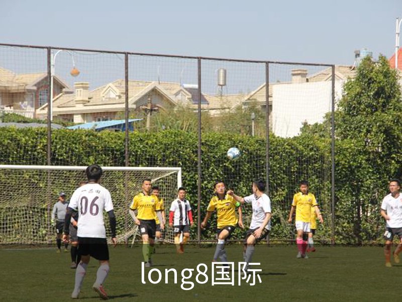 long8国际简介